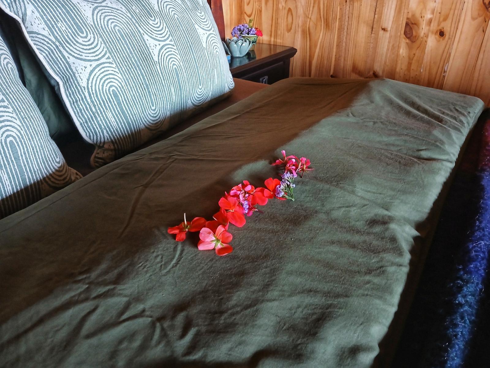 Room 2 — Bed