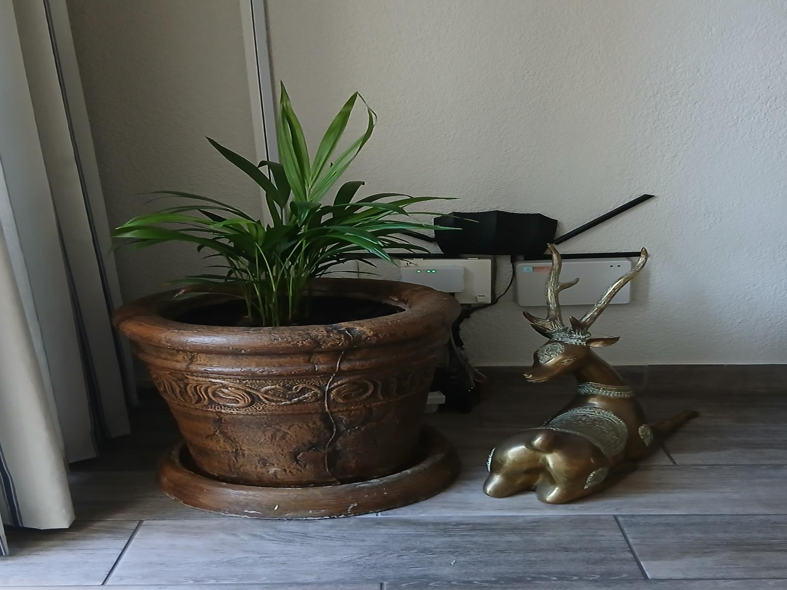 Decorative detail