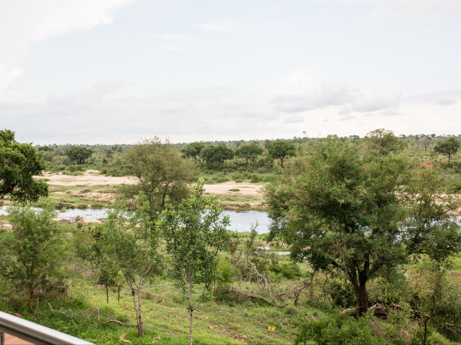 River view