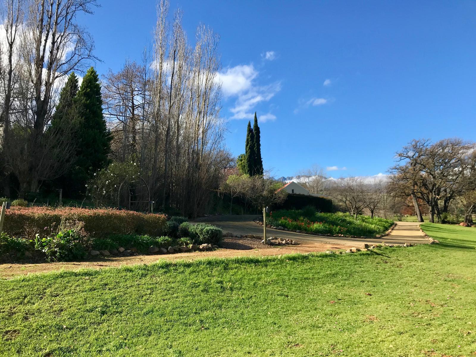 Garden view