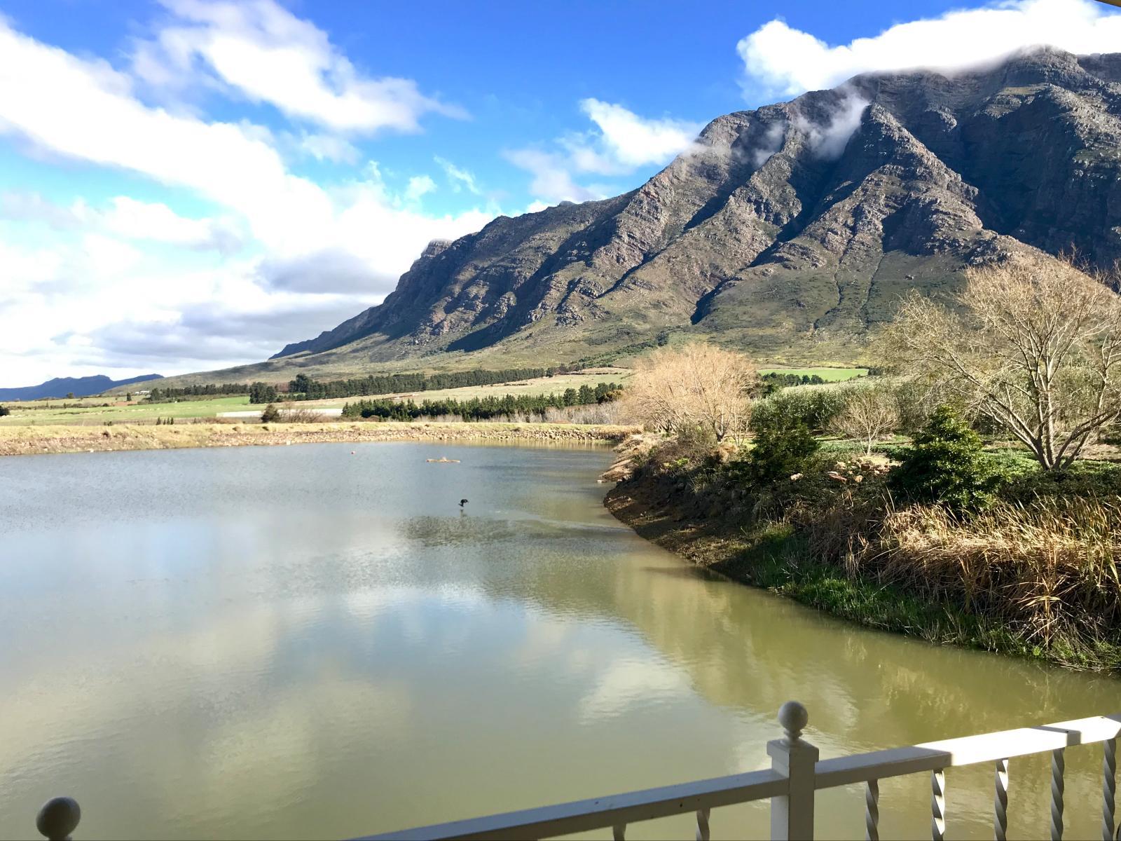 Lake view