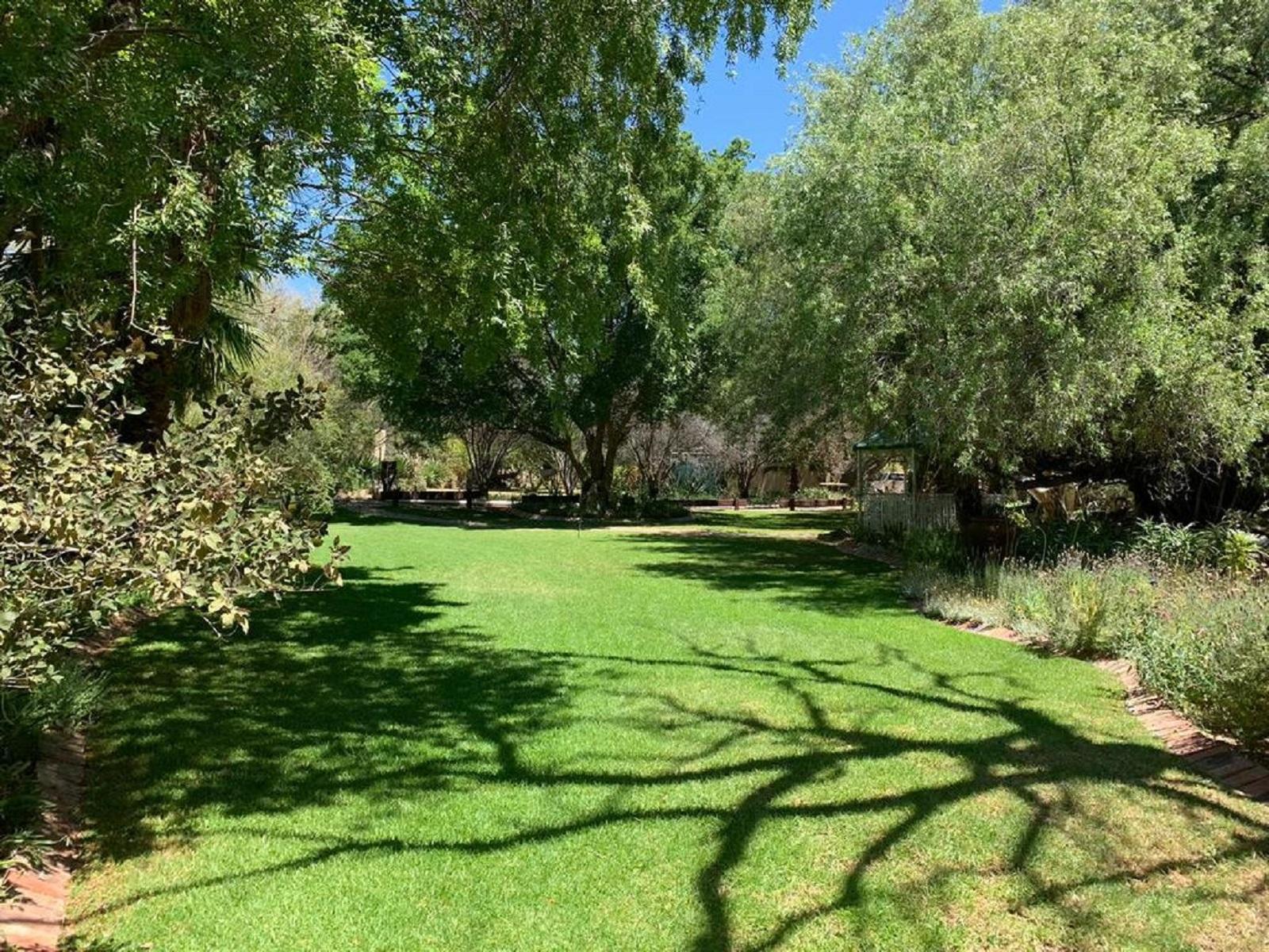 Garden view