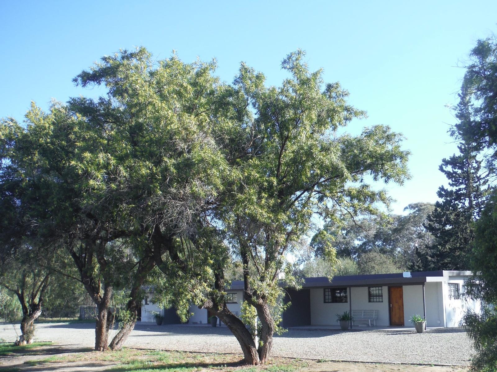 Property / Building