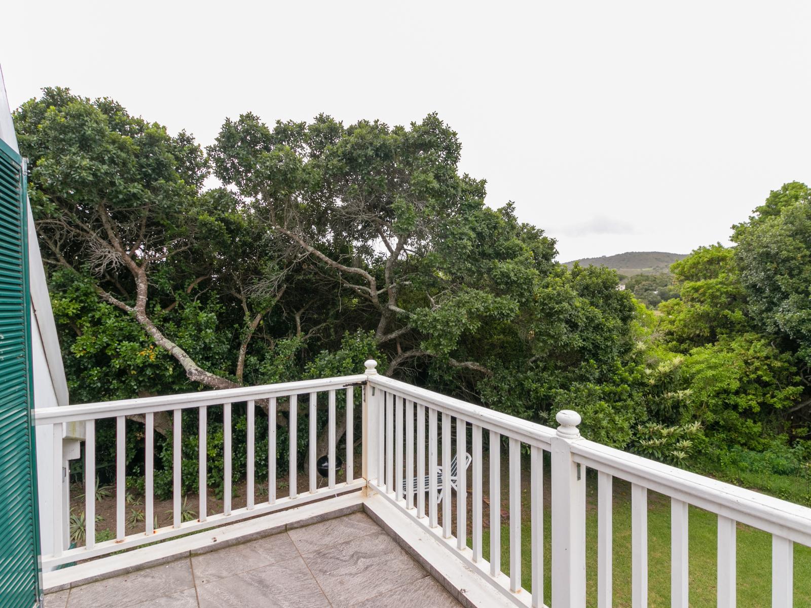 Room 8 — View (from property/room)