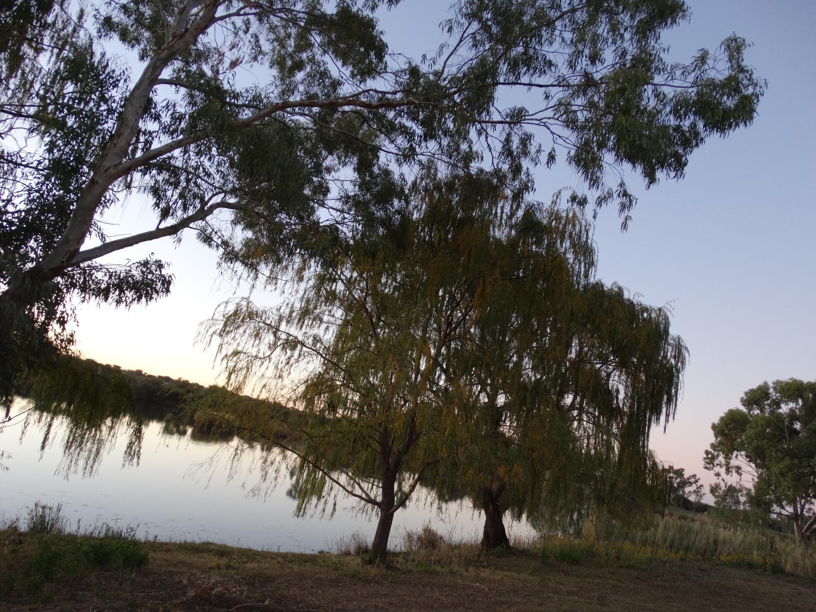 Lake view
