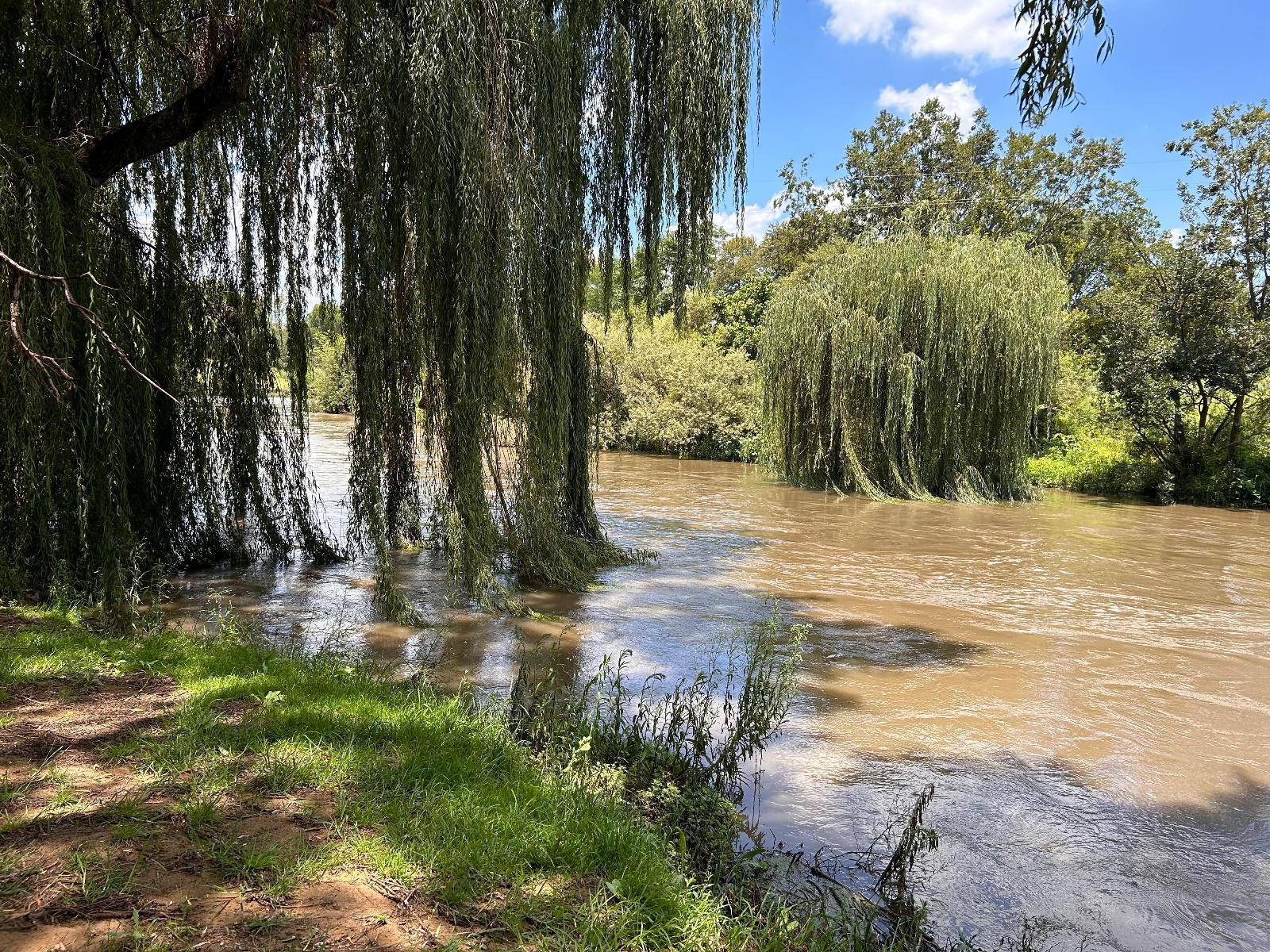 River view