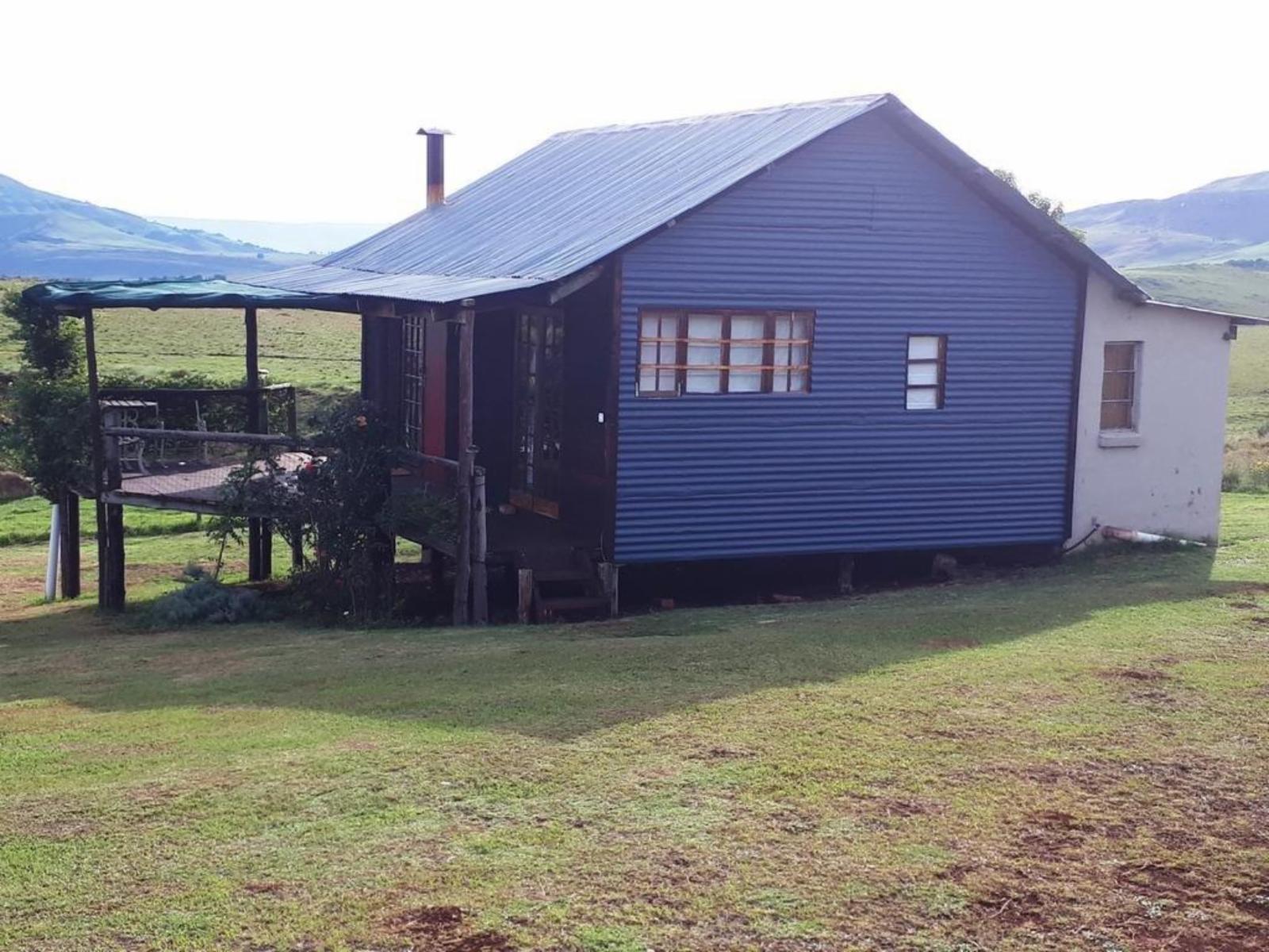 The Tin Shack