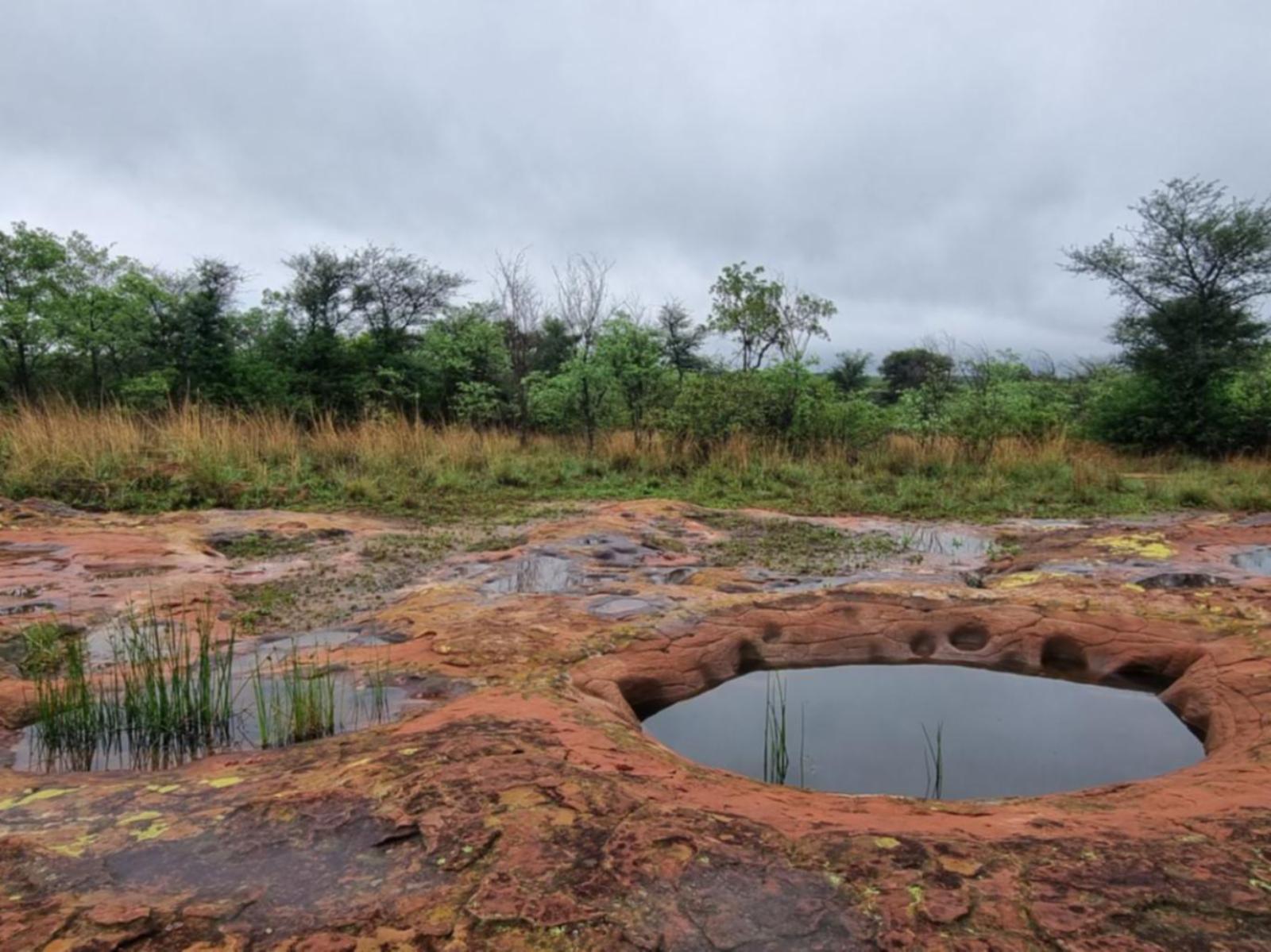 Natural landscape