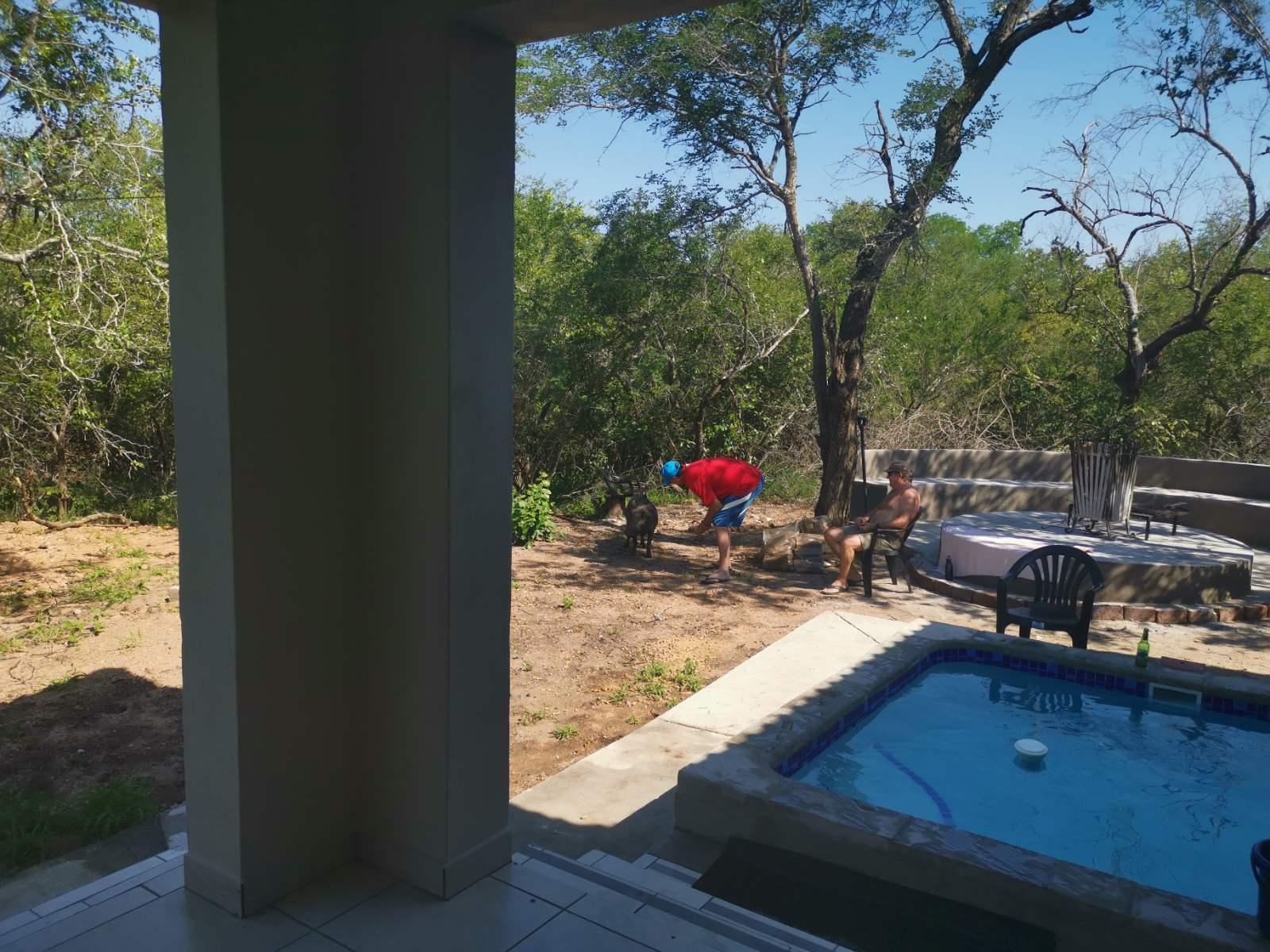 Room 1 — View (from property/room)