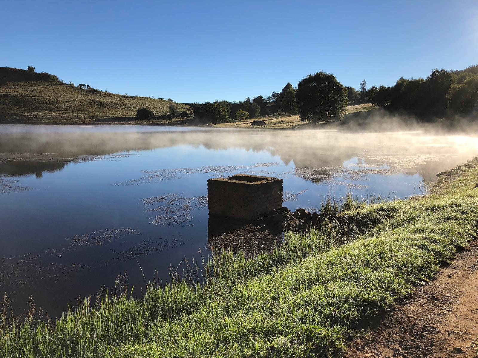 Lake view