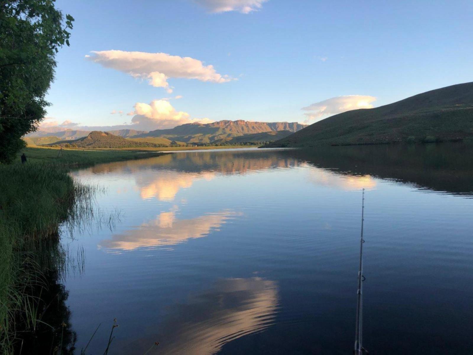 Lake view