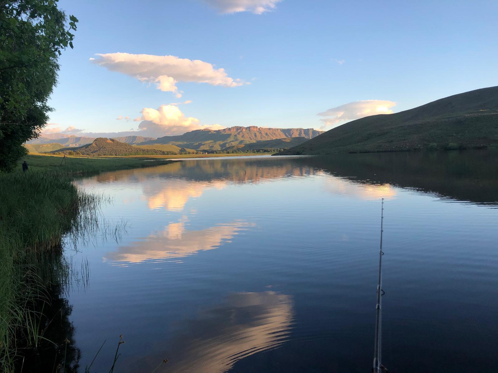 Lake view