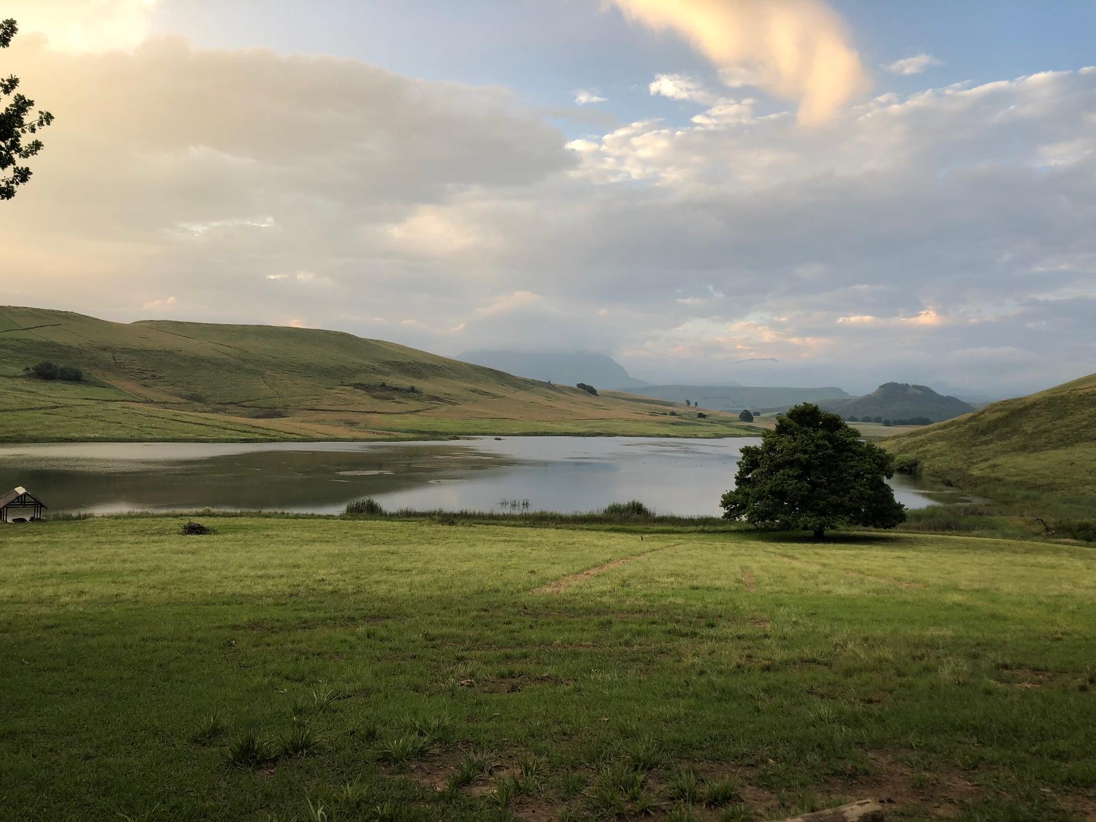 Lake view