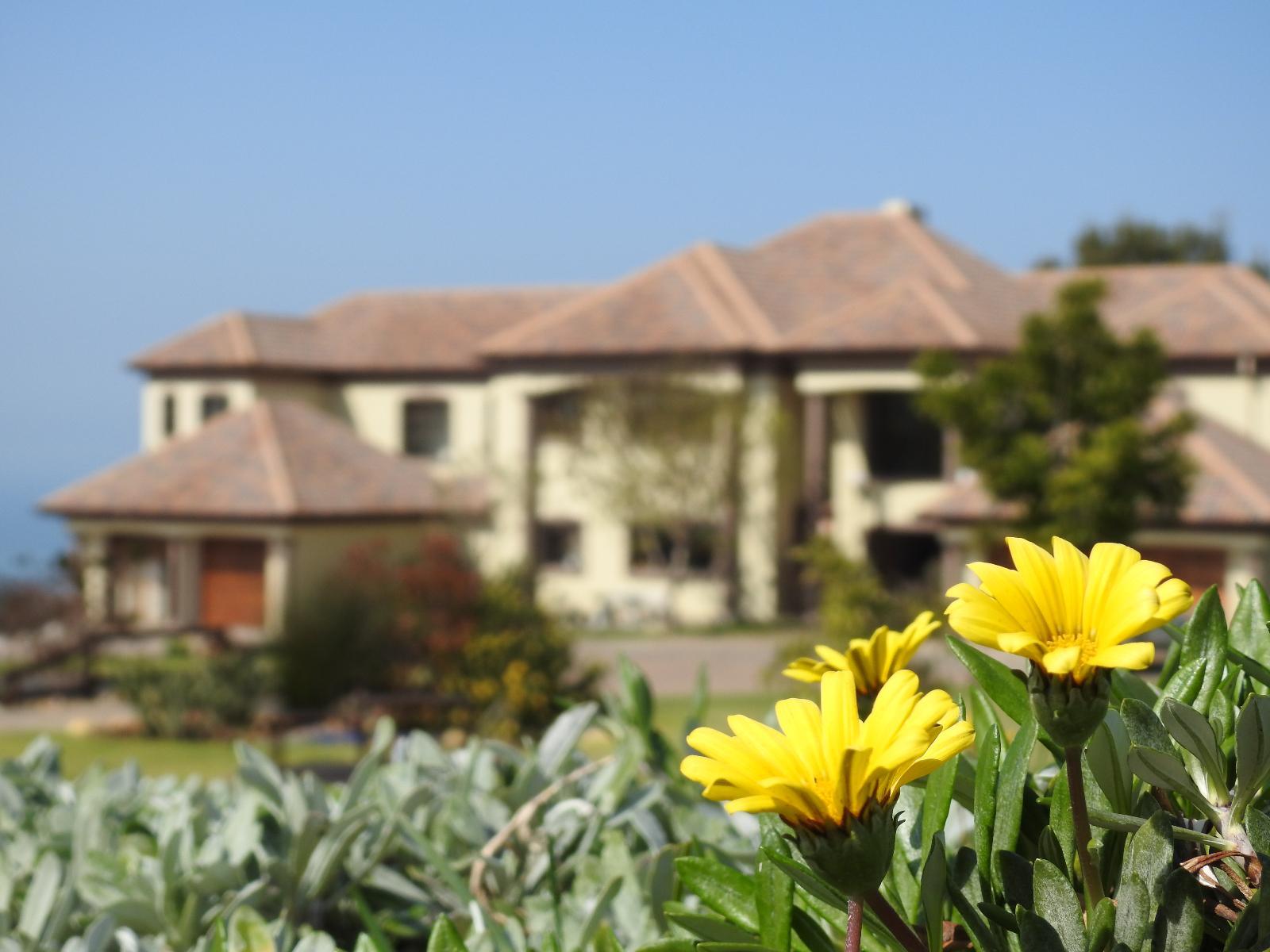Property / Building