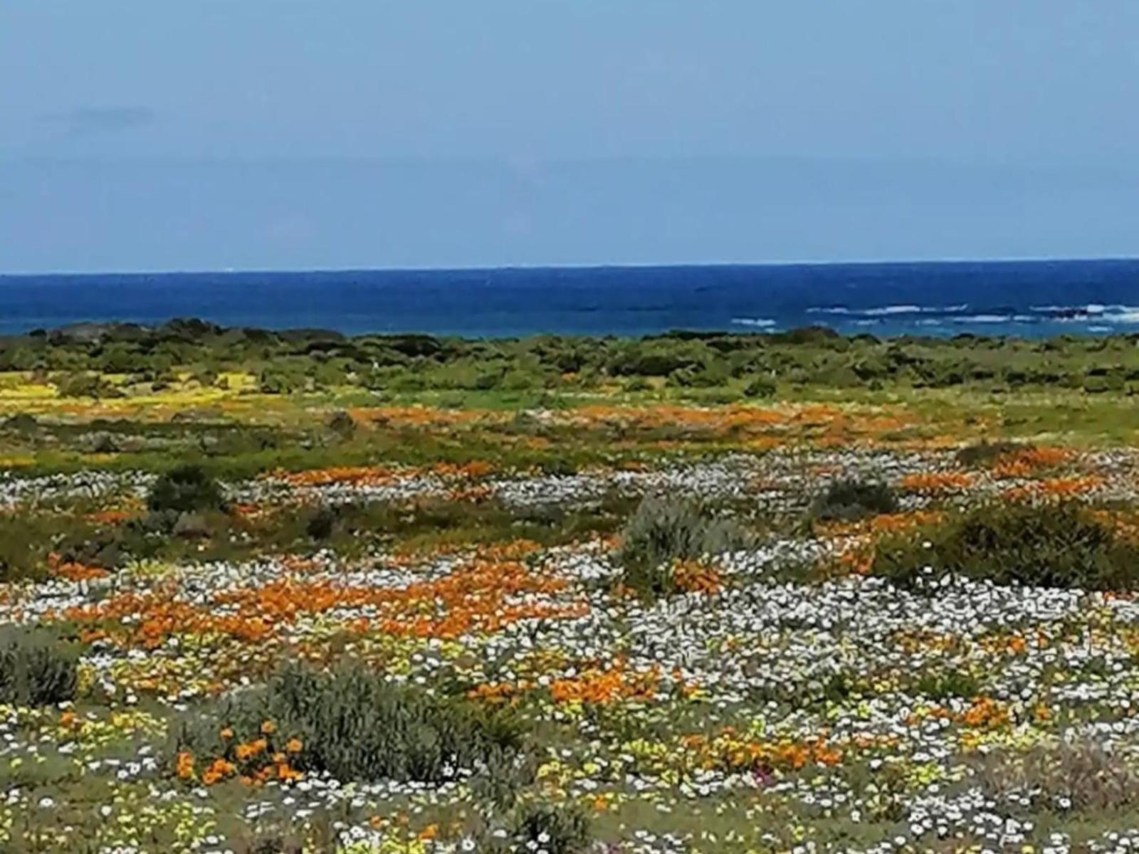 Natural landscape