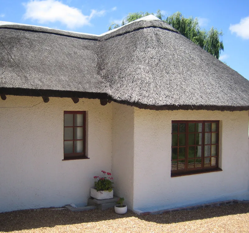 White cottage with thatched roof two windows and potted flowers
