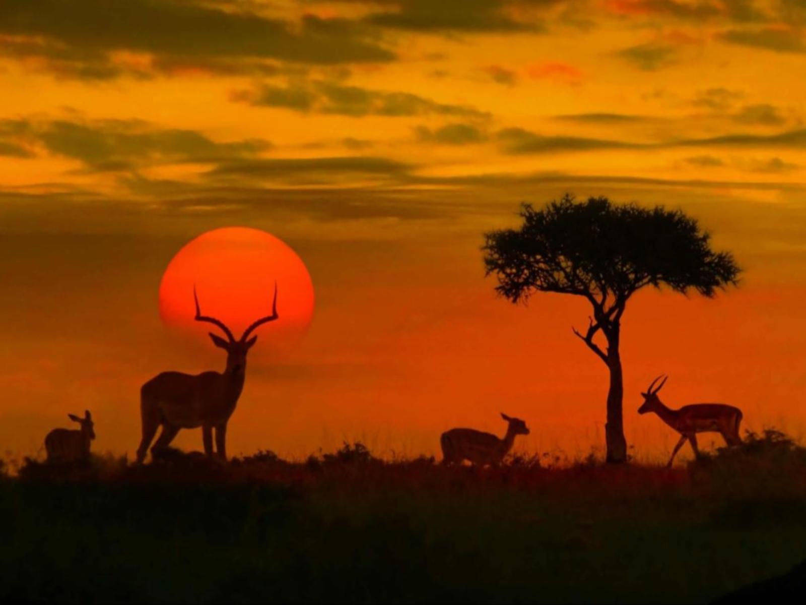 Natural landscape