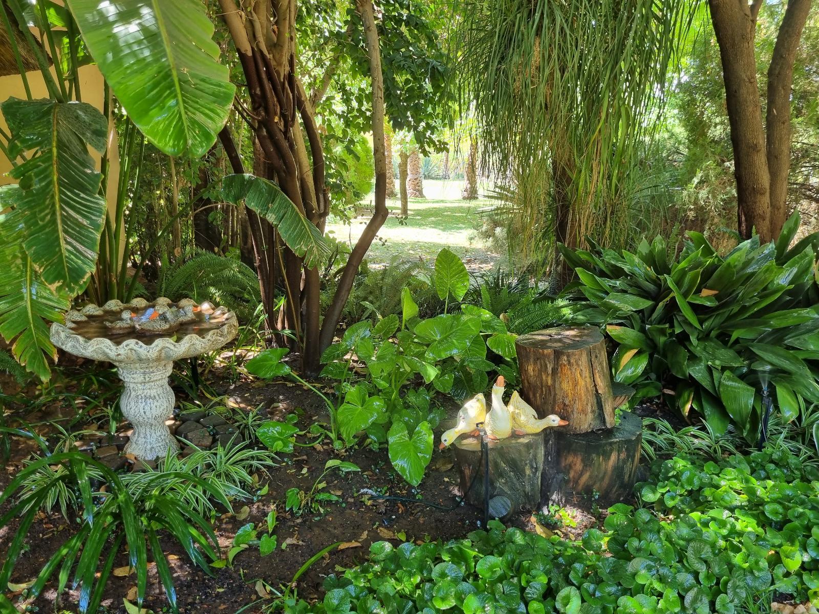 Garden view