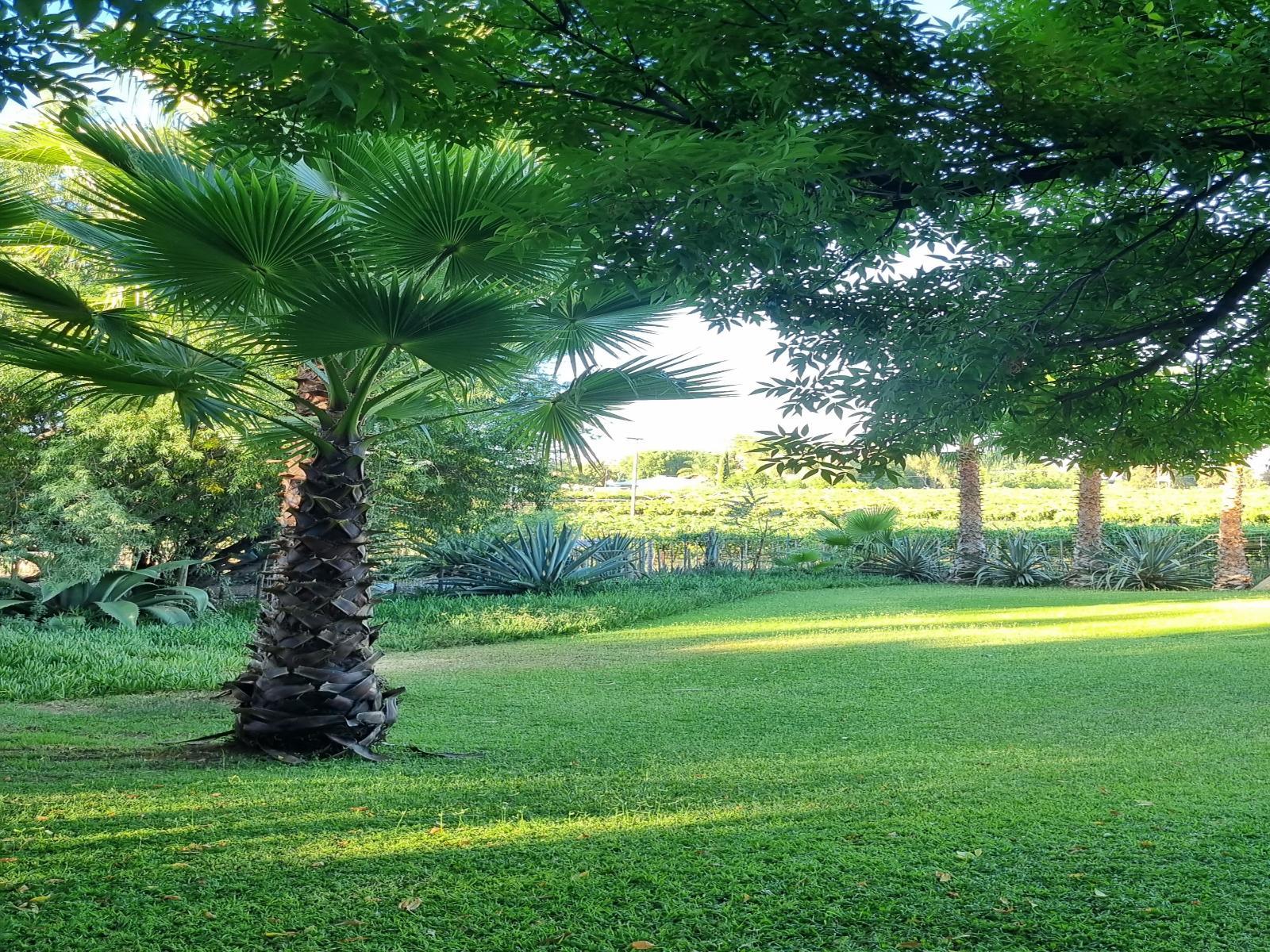 Garden view