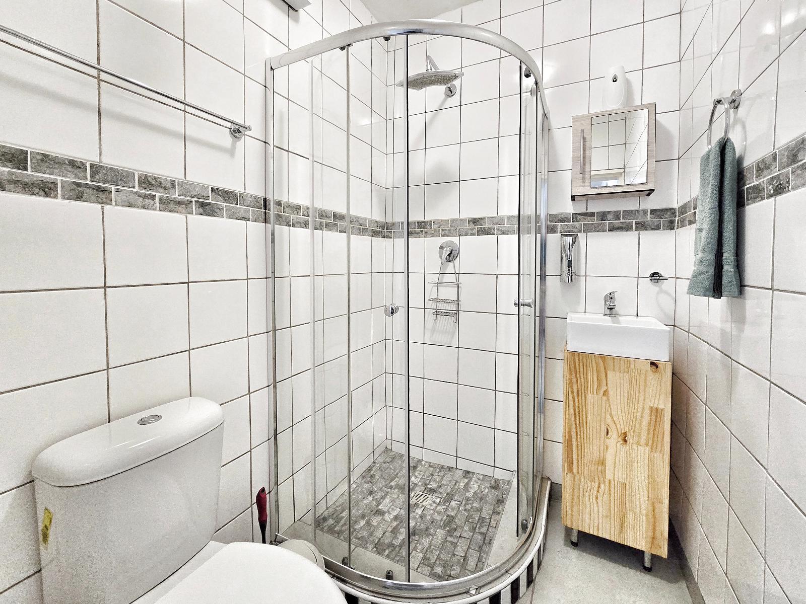 Room 1 — Shower