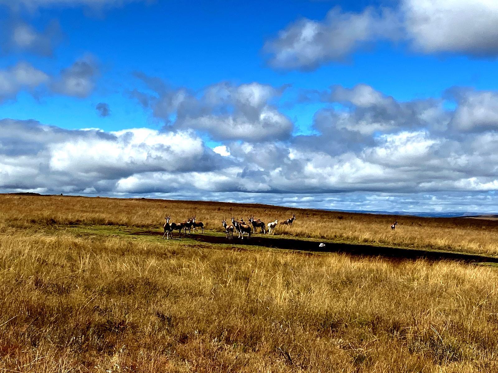 Natural landscape