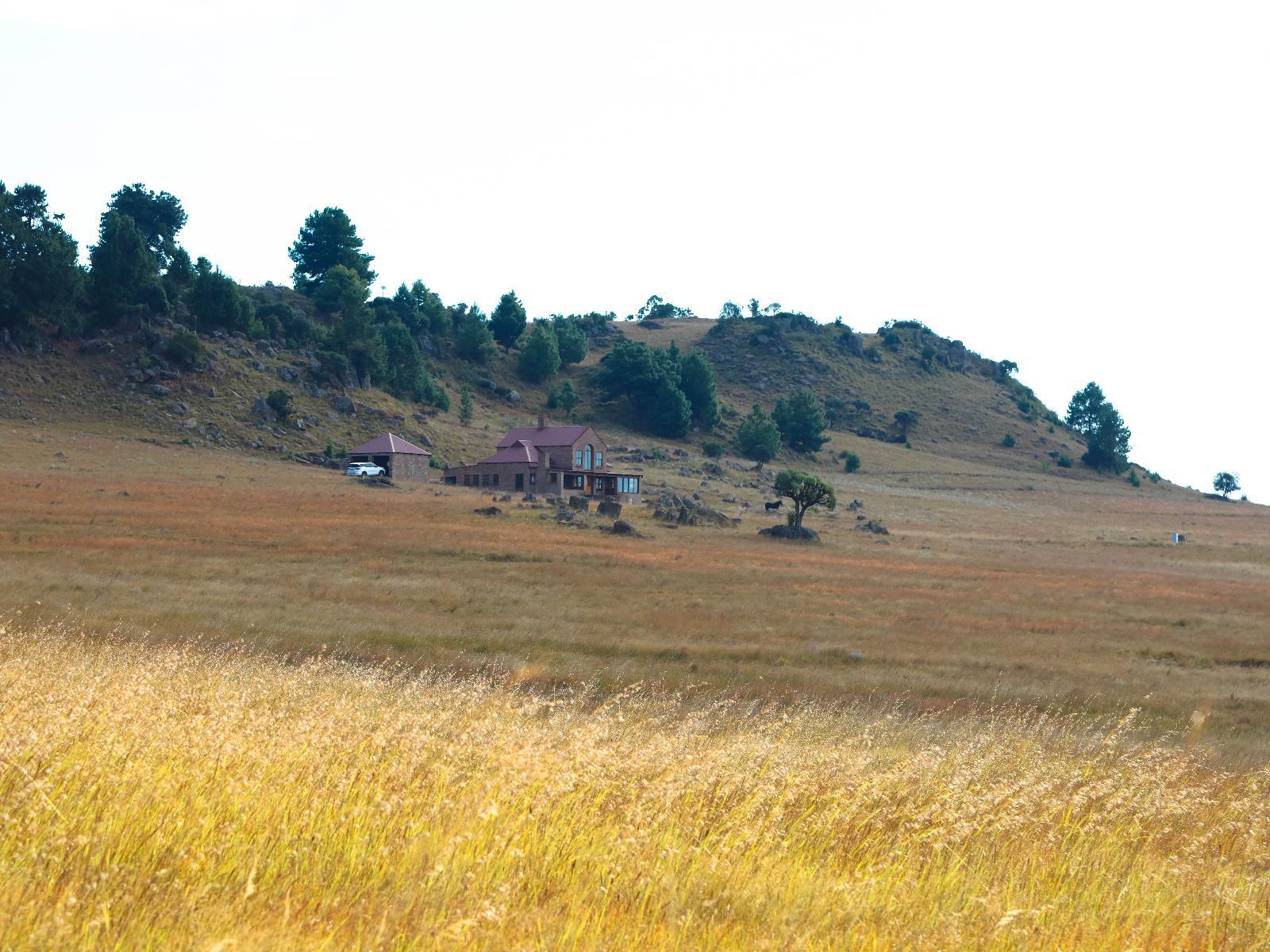 Property / Building
