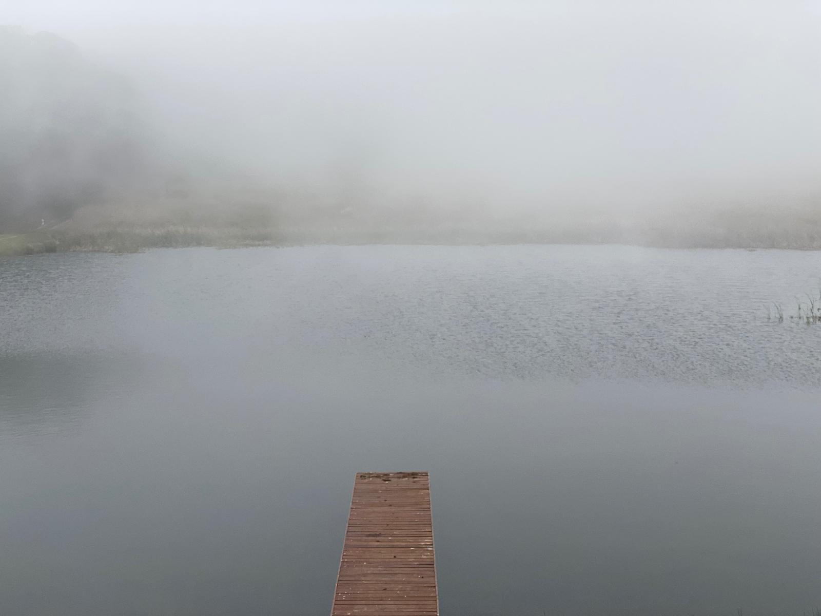 Natural landscape