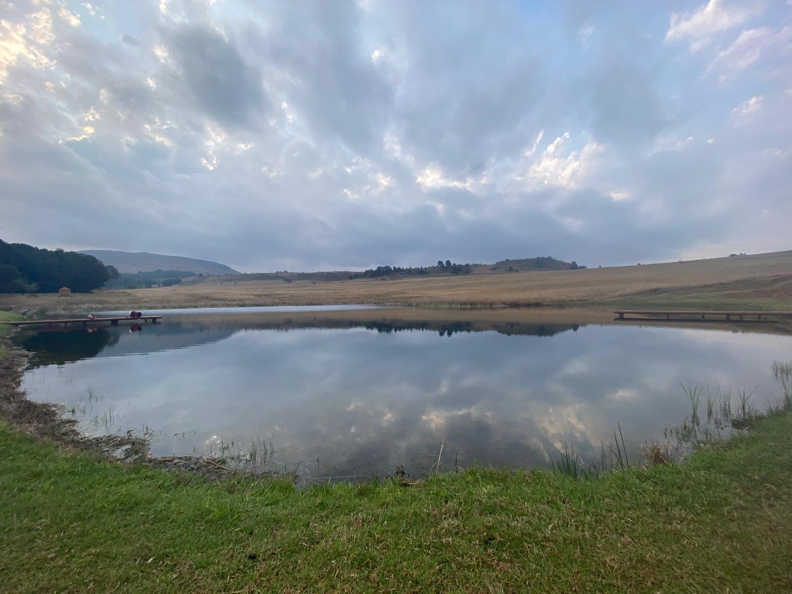Natural landscape