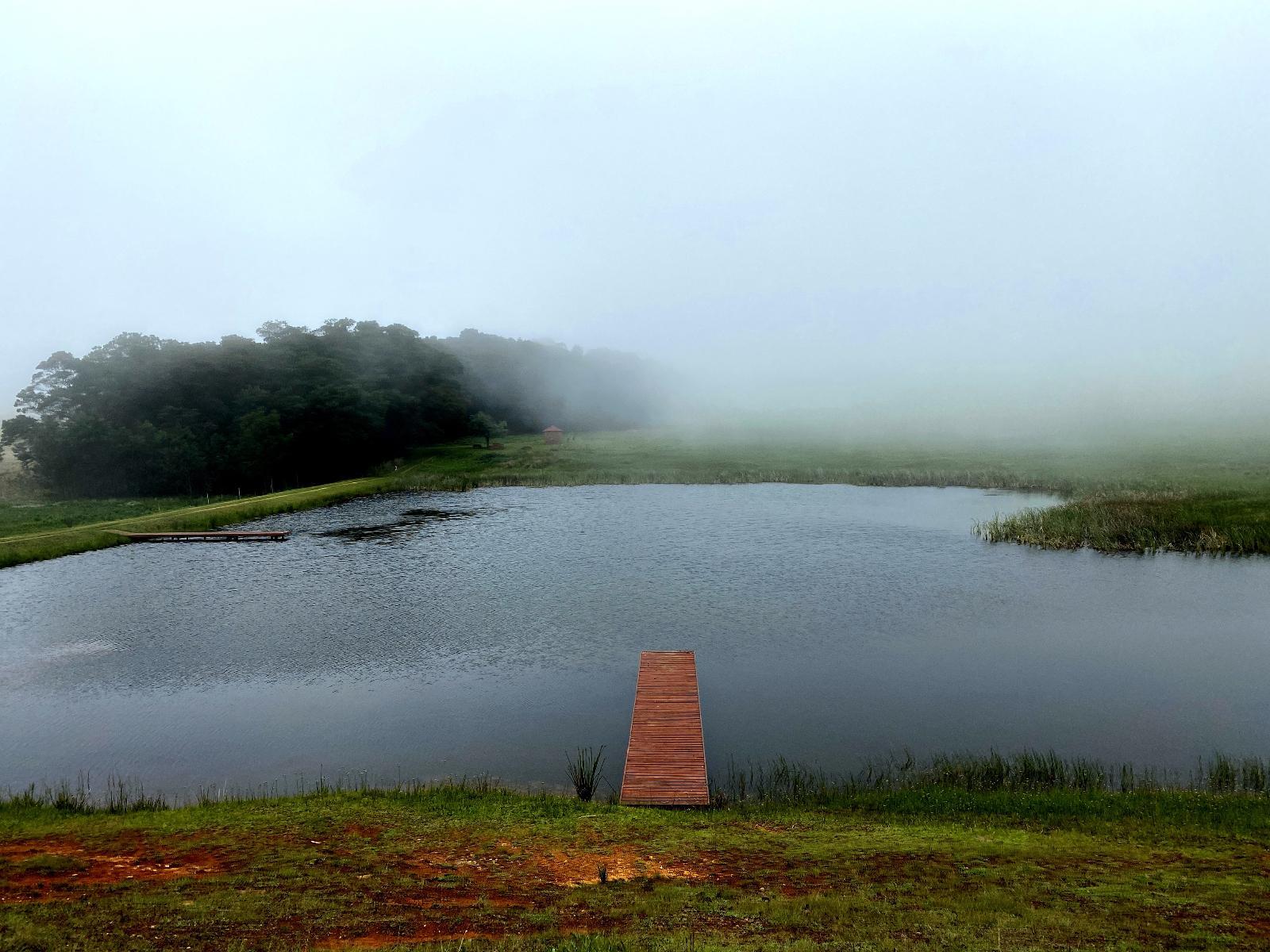 Natural landscape