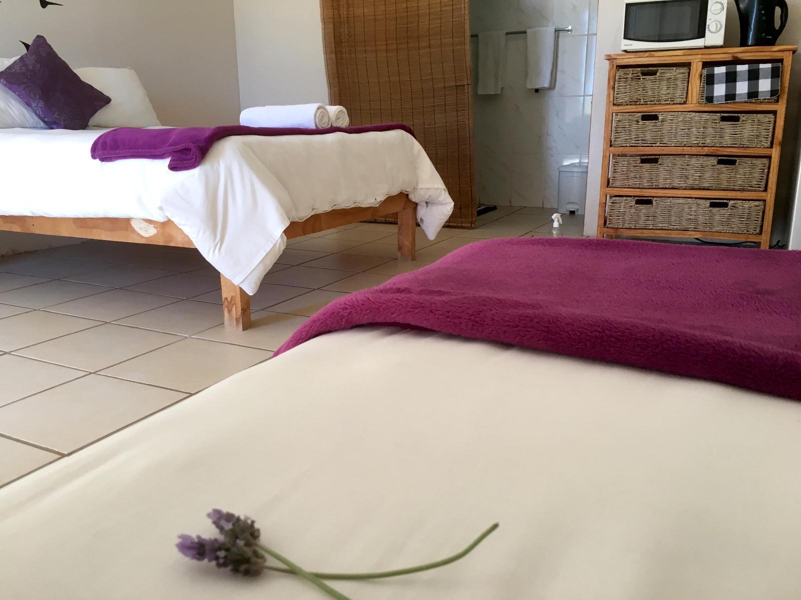Room 2 — Photo of the whole room
