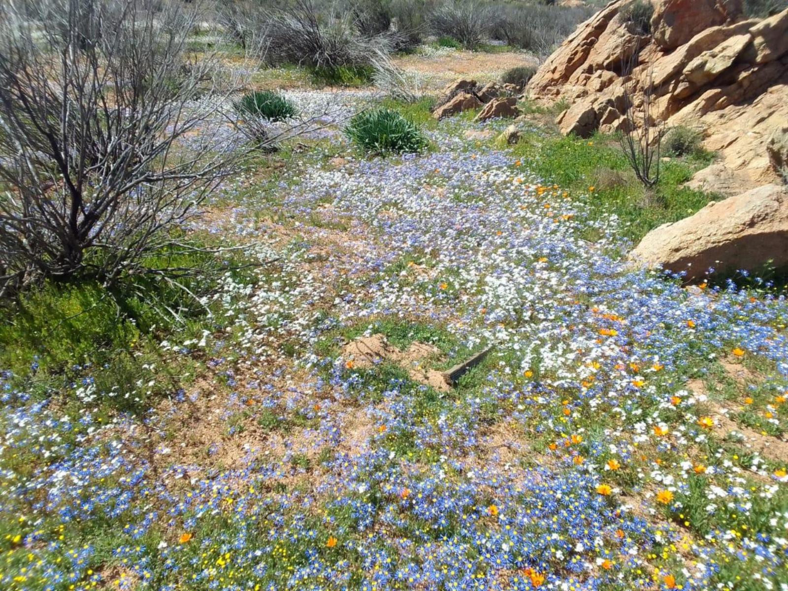 Natural landscape