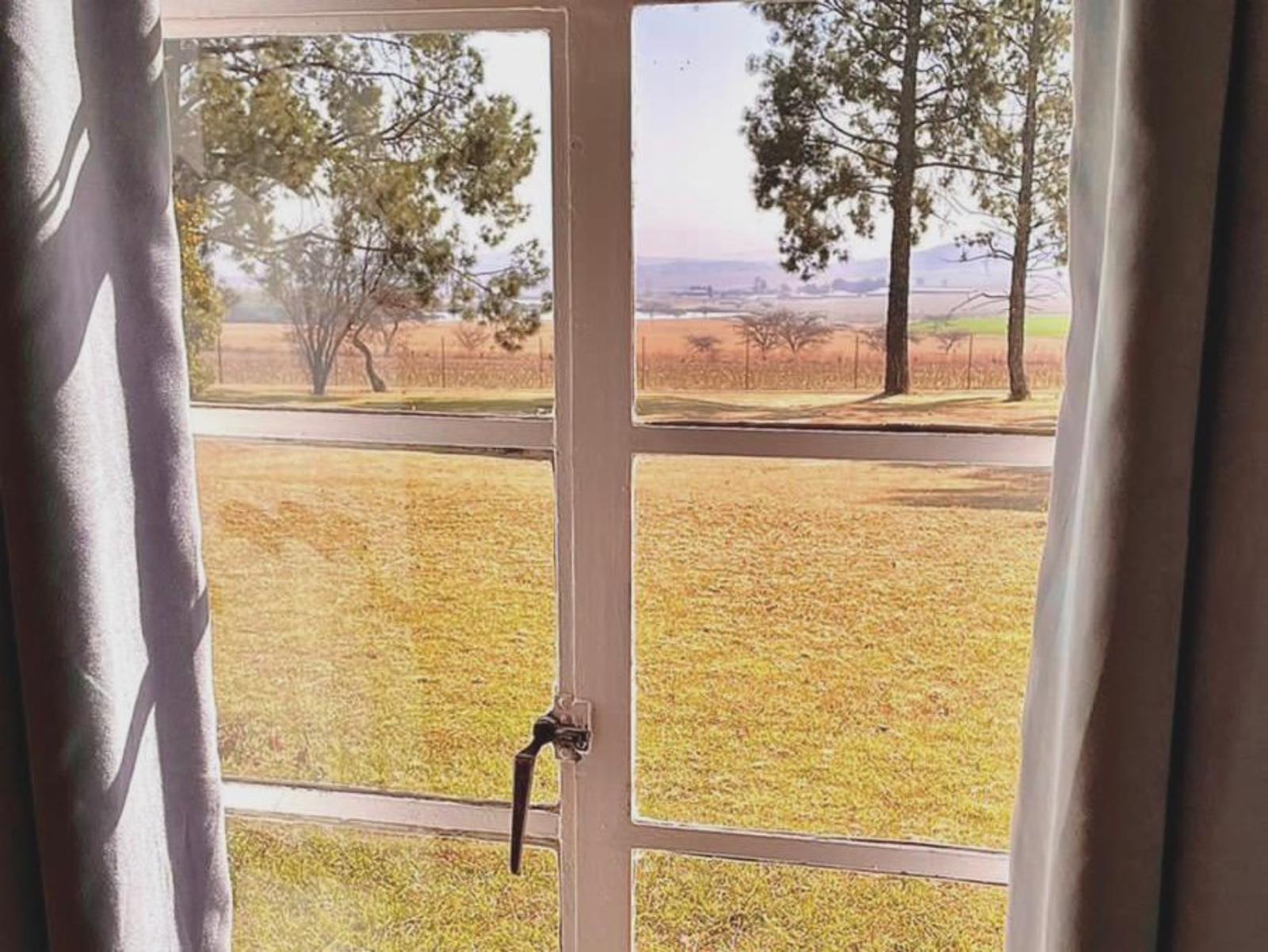 Room 1 — View (from property/room)