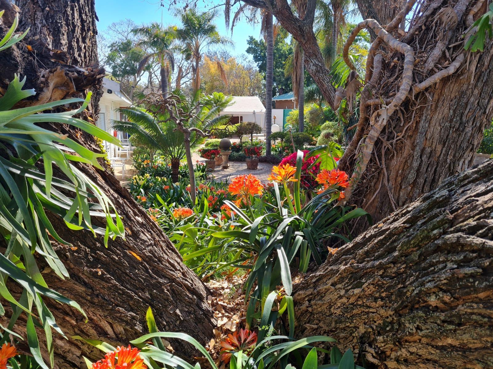 Natural landscape