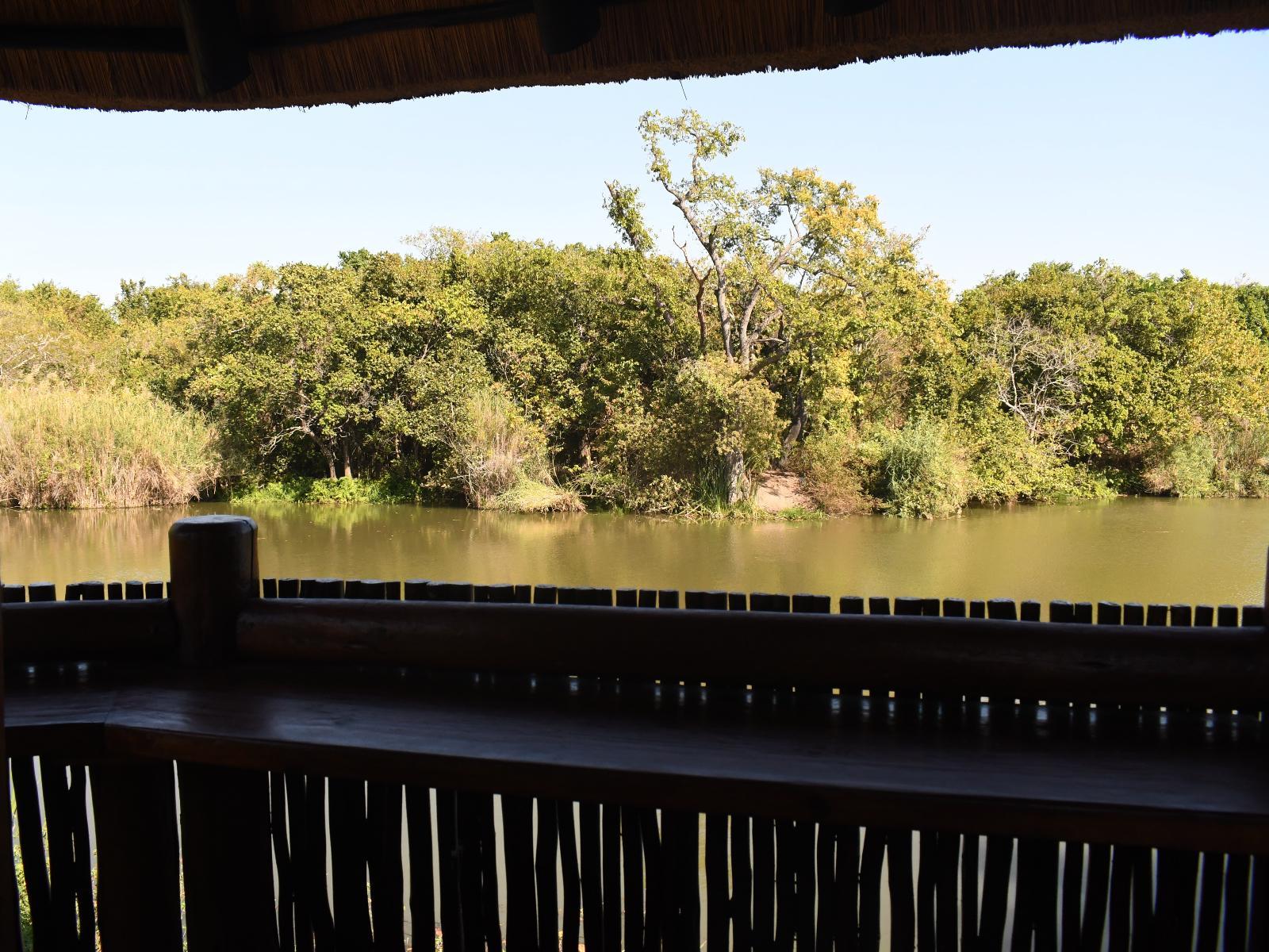 Lake view