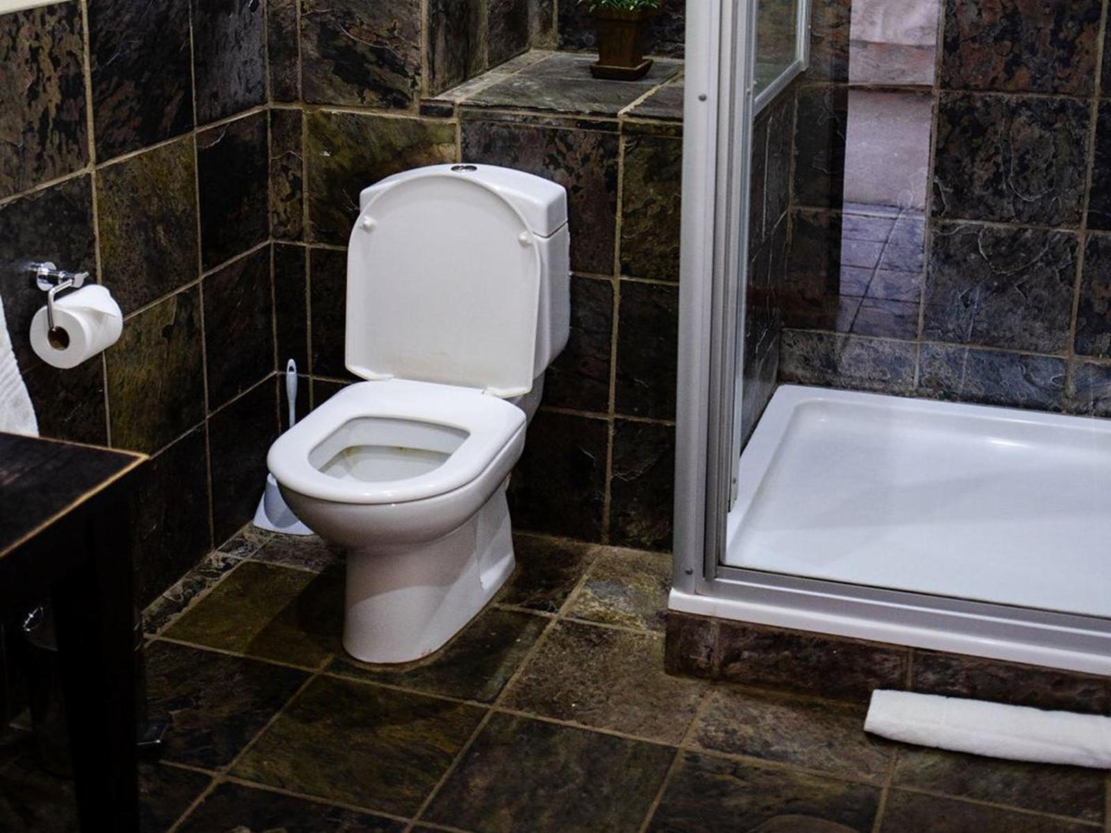 Room 1 — Toilet