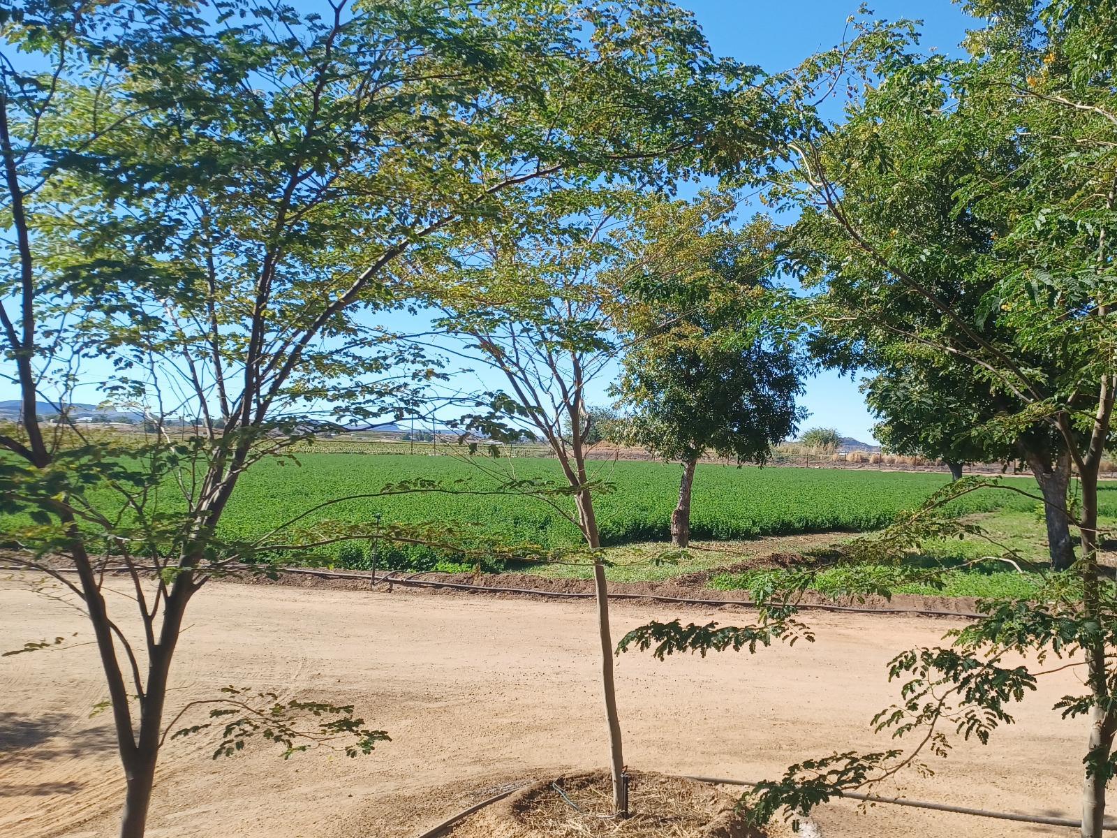 Natural landscape