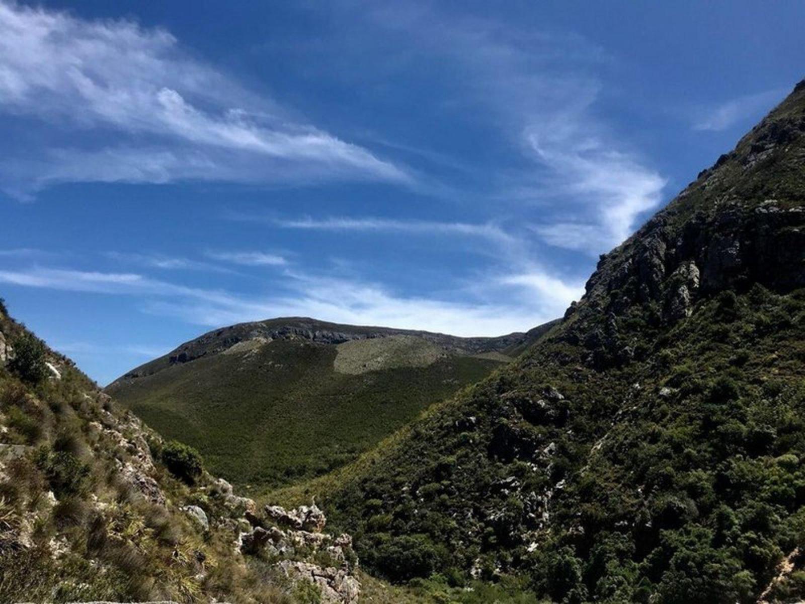 Natural landscape