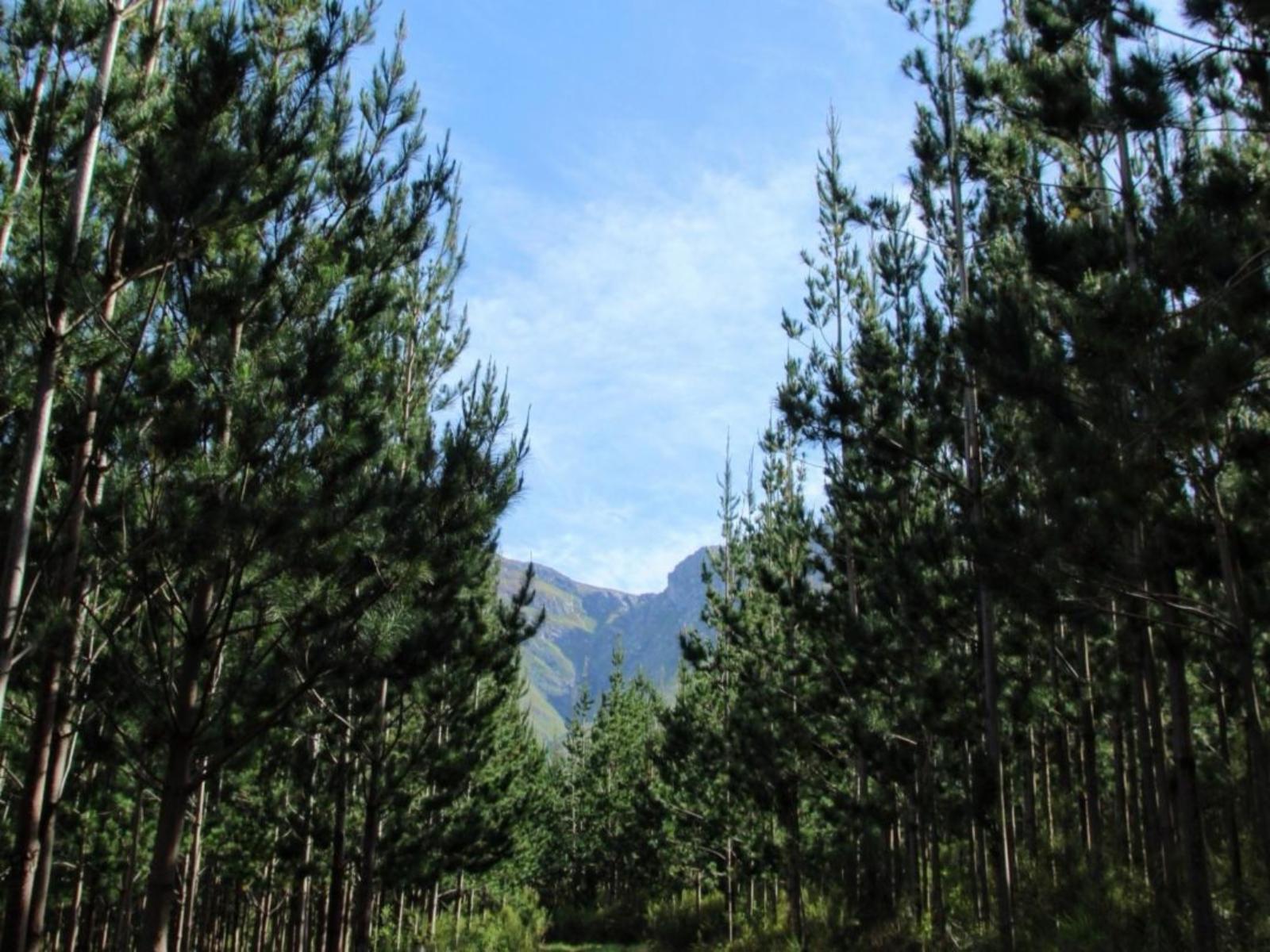 Natural landscape