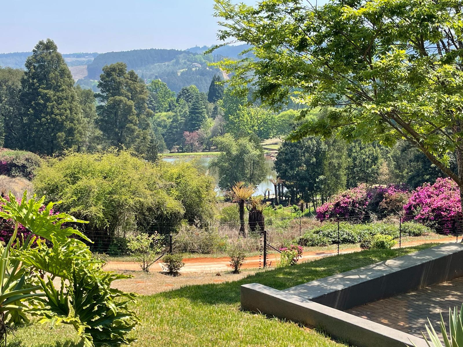 Lake view