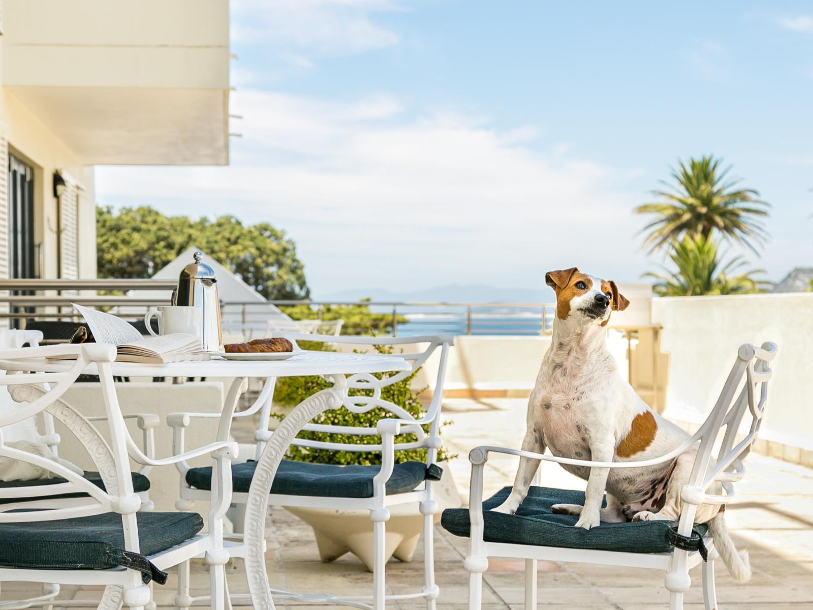 Room 1 — Balcony/Terrace
