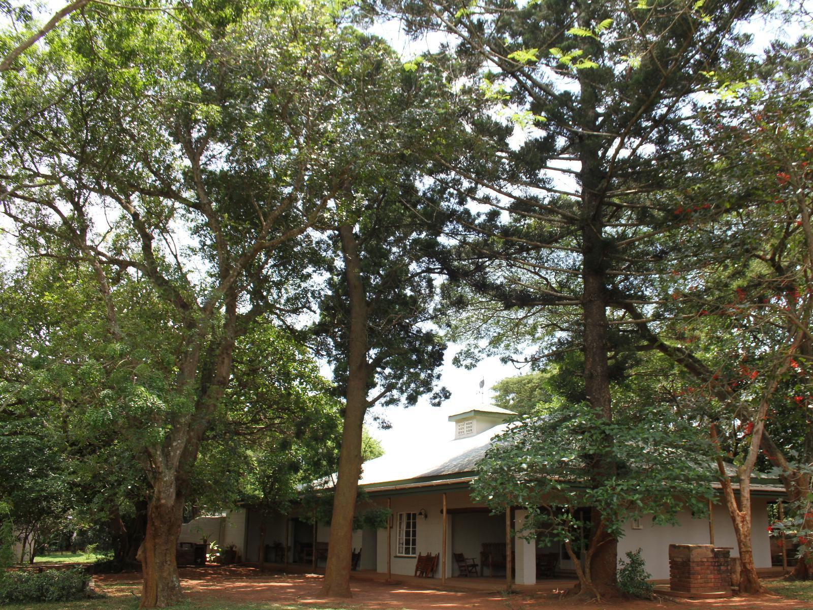 Sandforest Cottages
