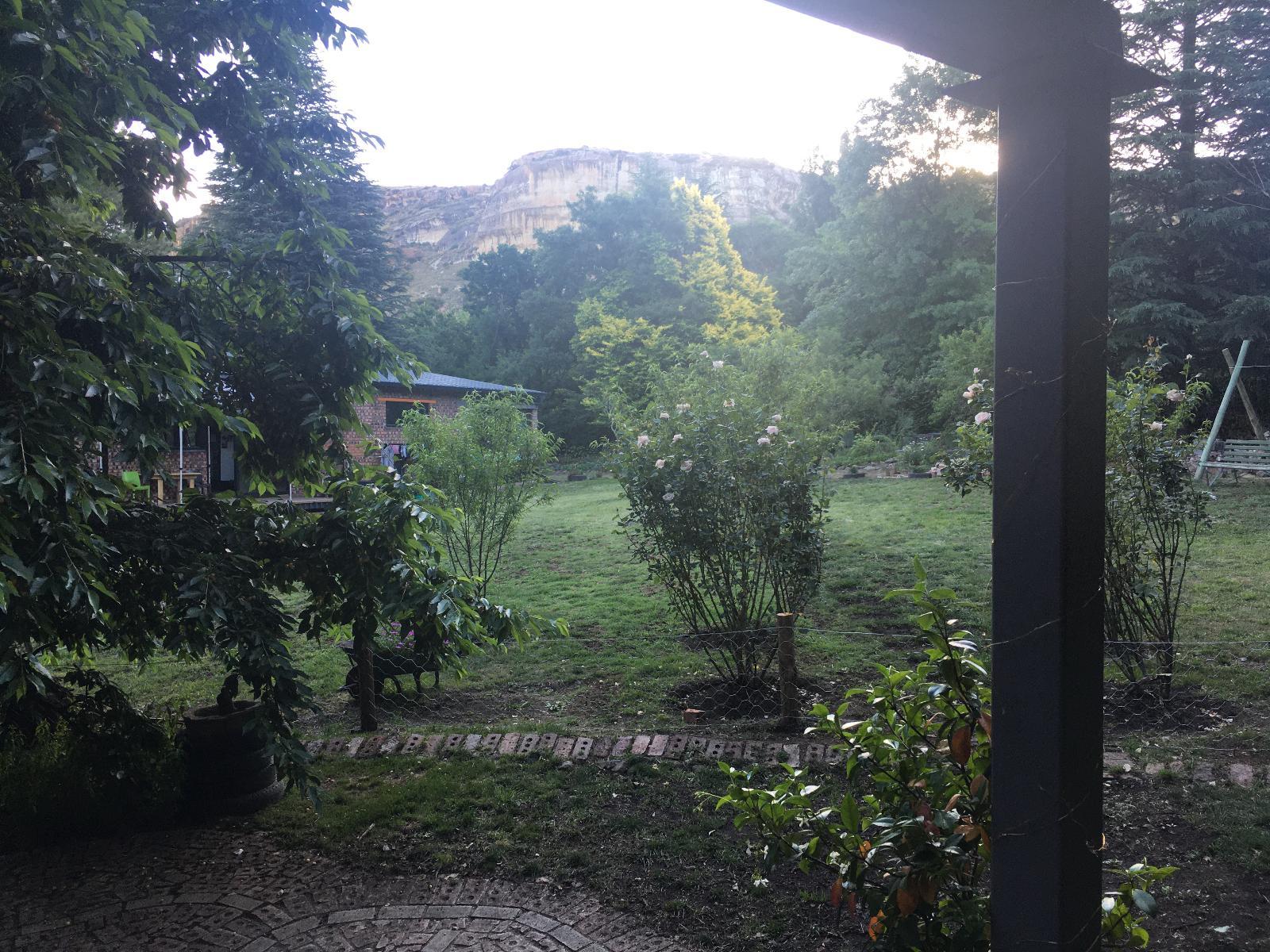 Garden view
