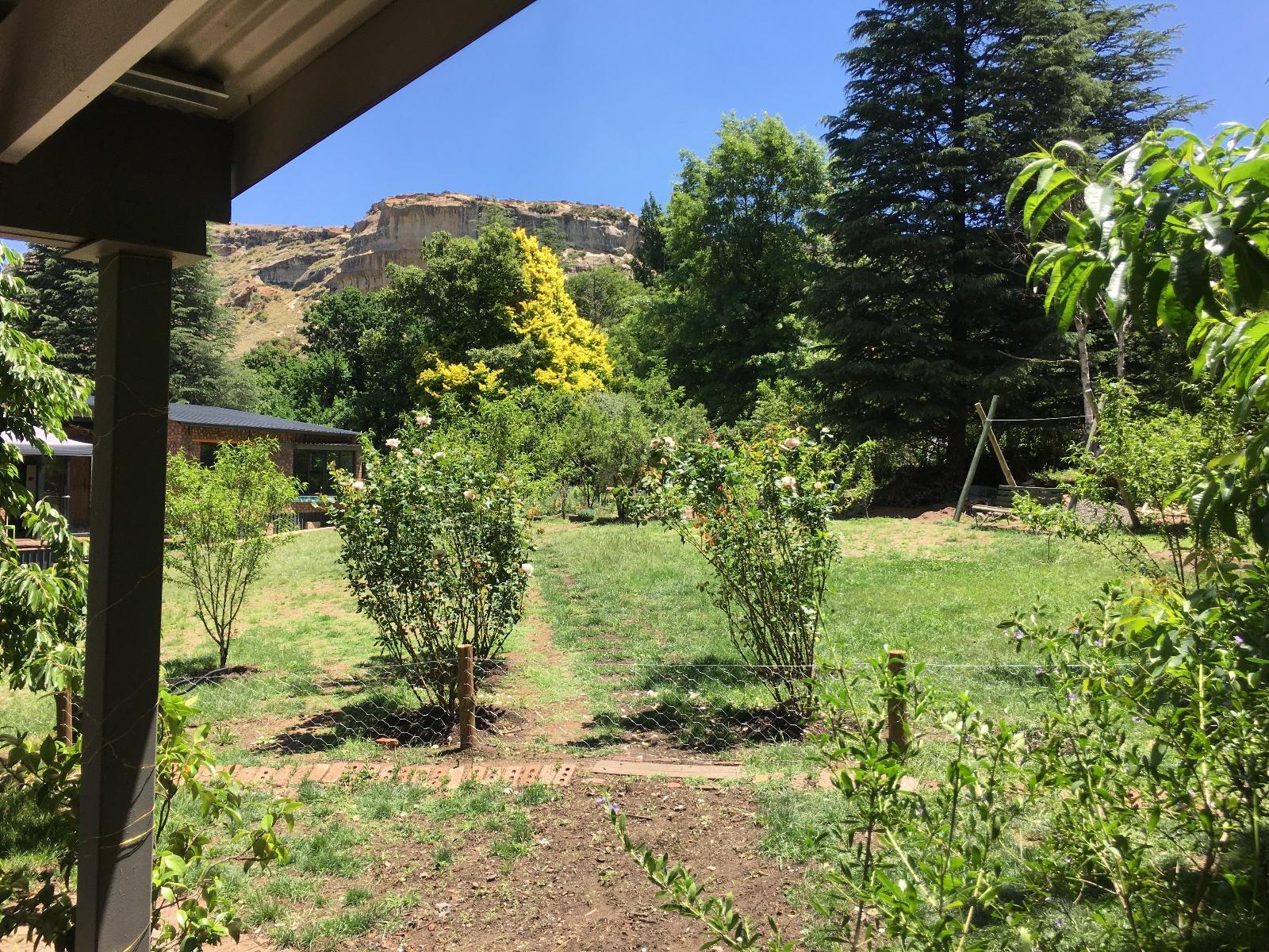 Neighbourhood