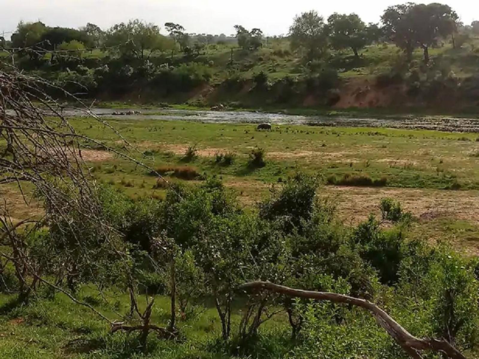 Natural landscape