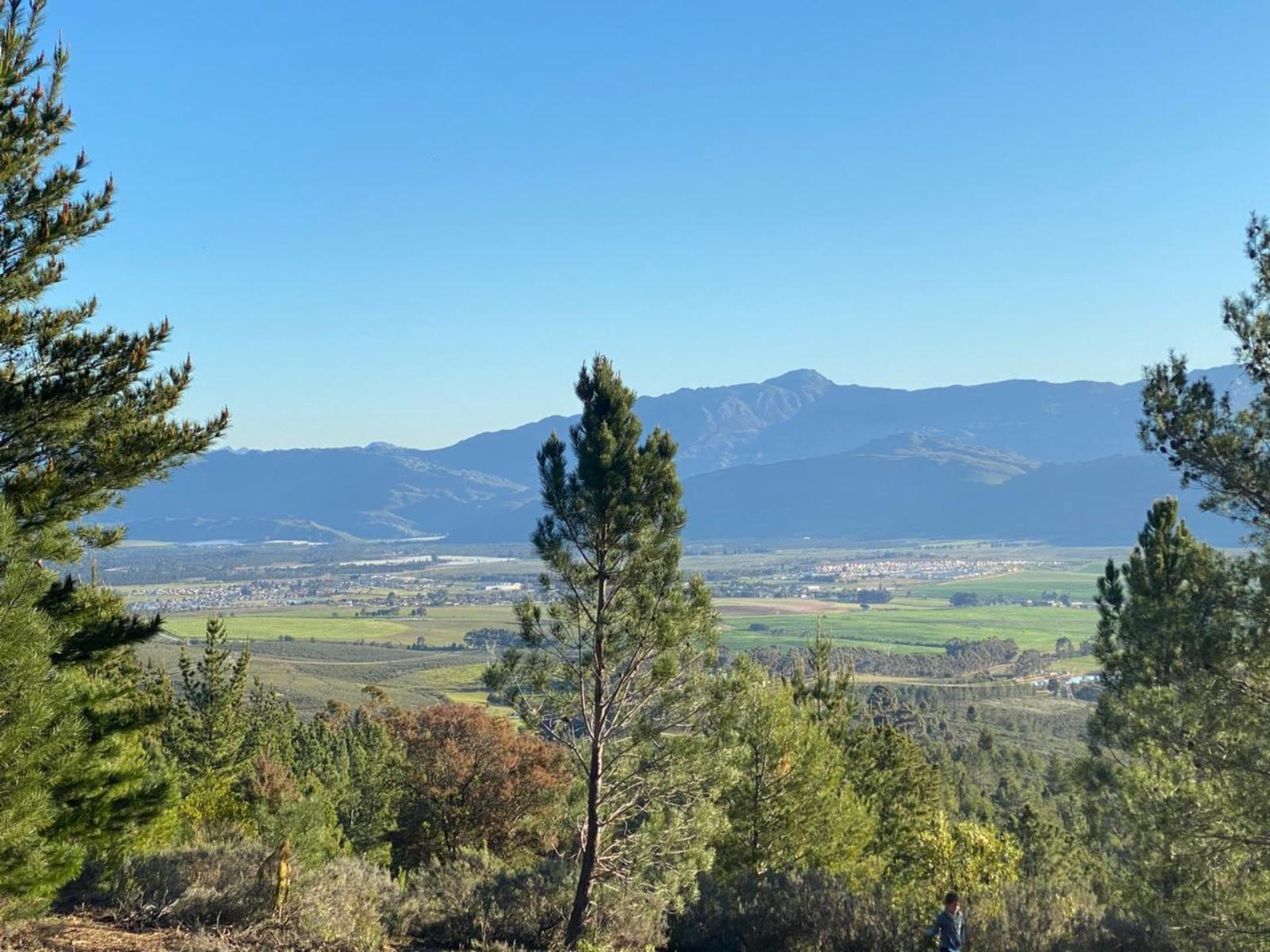 Natural landscape