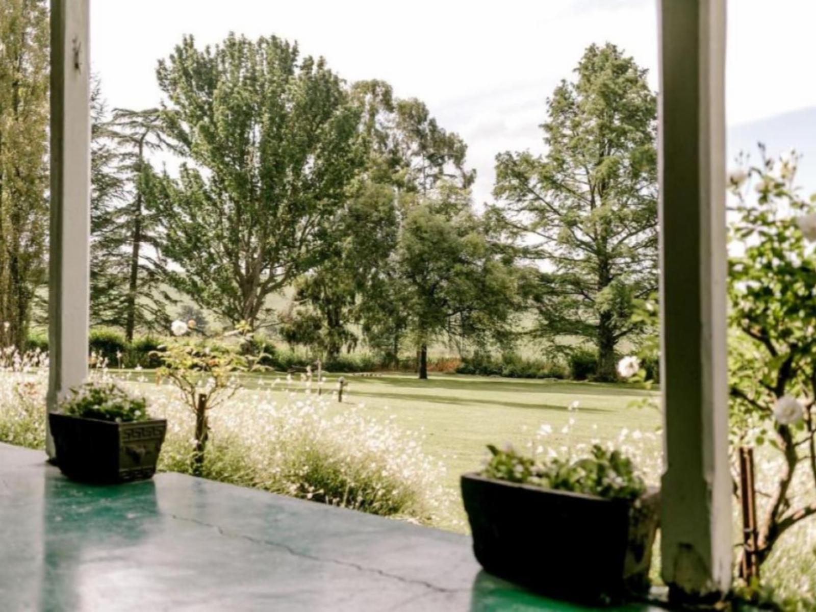 Garden view