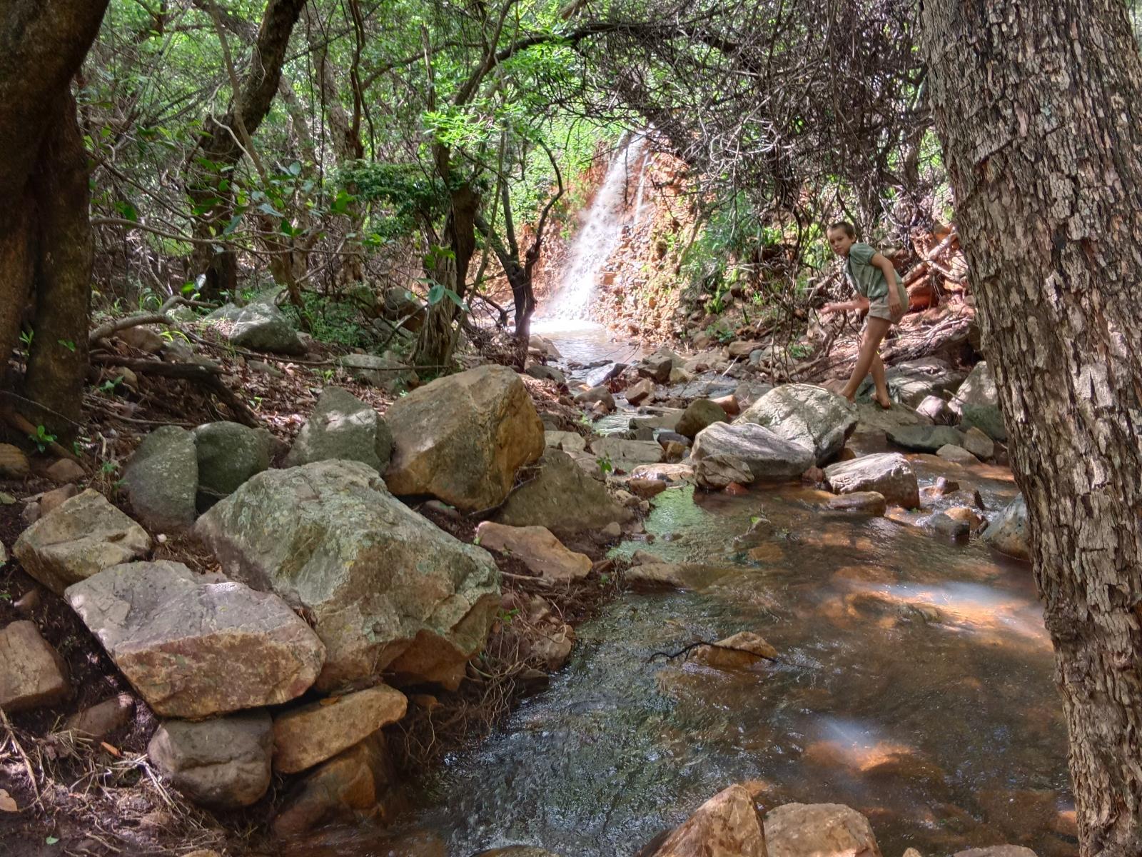 Natural landscape