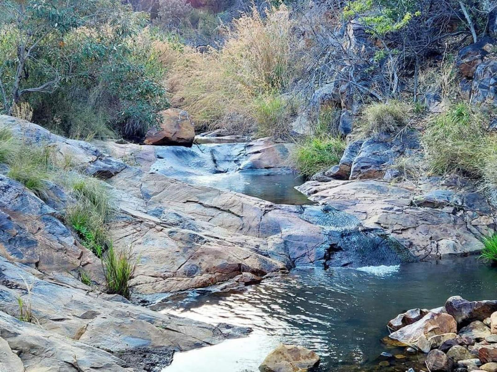 Natural landscape