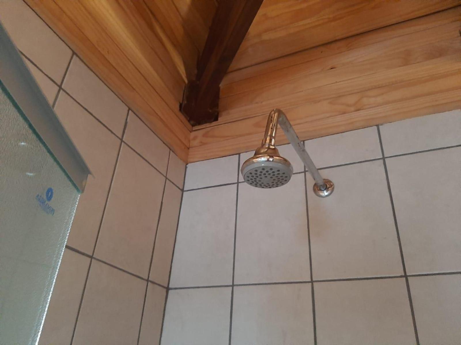 Room 1 — Shower