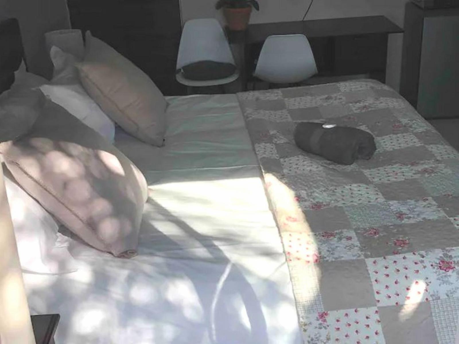 Room 1 — Bed